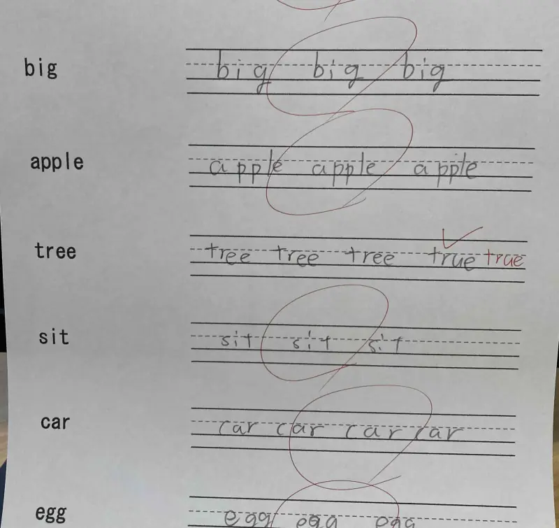英単語の練習プリント。鉛筆のなぞり書きと赤ペンの丸がある